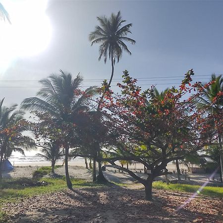 Casa Aroeira Pousada Ilhéus Dış mekan fotoğraf