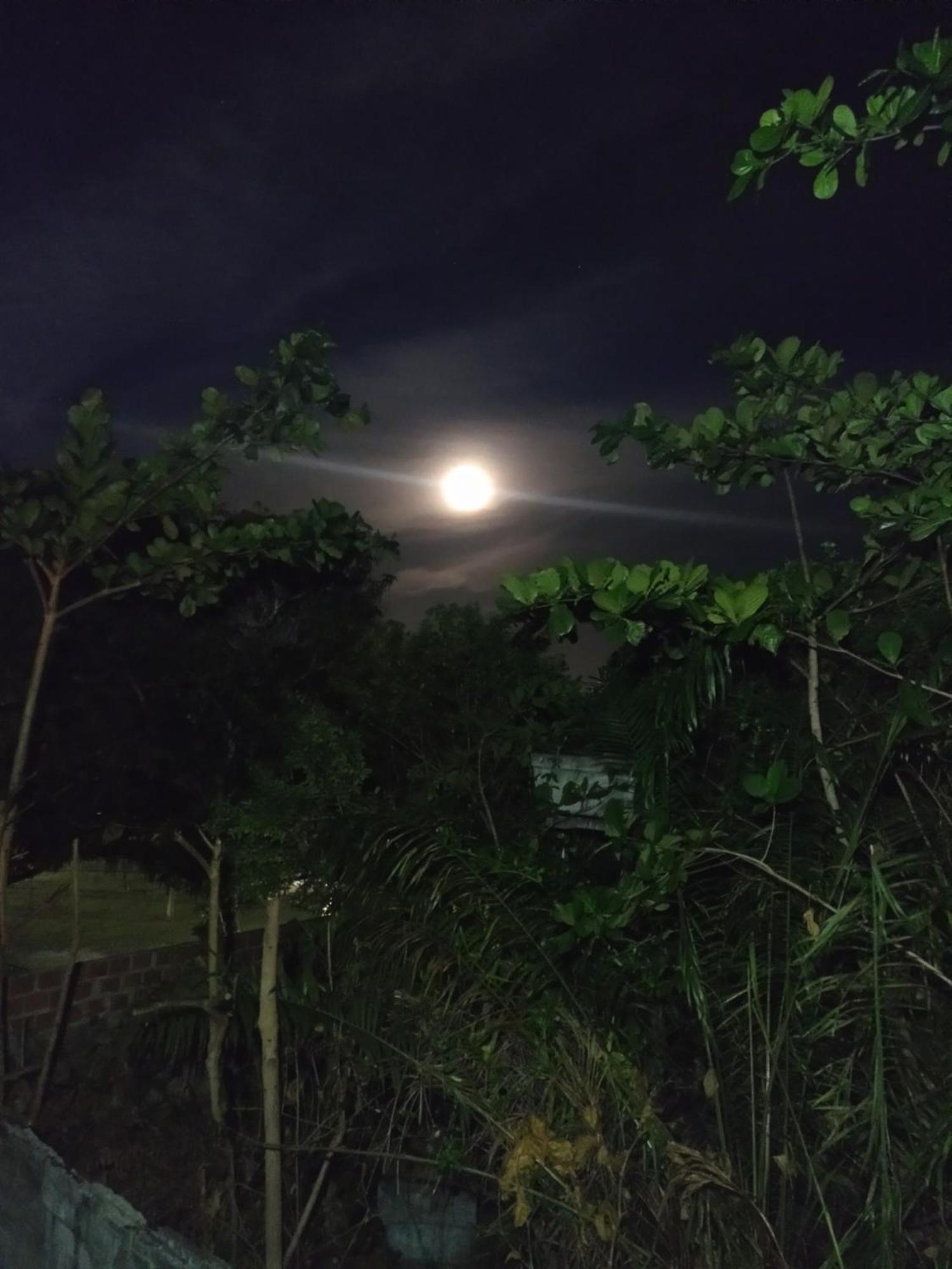 Casa Aroeira Pousada Ilhéus Dış mekan fotoğraf